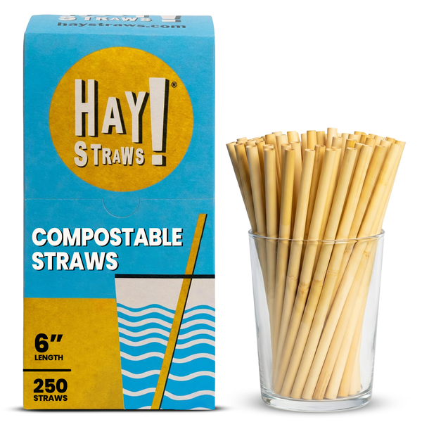 Hay Straws compostable straws packaging box next to a clear glass cup filled with natural reed stem straws, on a white background. Standard reed 6" straw in a unwrapped 250 pack box.