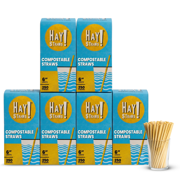 Six boxes of Hay! Straws compostable straws arranged in a pyramid with a clear glass cup filled with the reed stem straws on the right, on a white background. Standard 6" Reed straw in a wholesale case of 1500 straws
