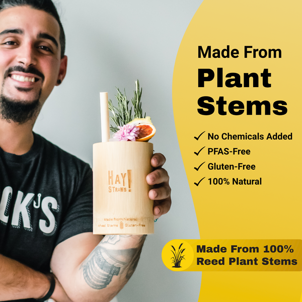 Man holding a bamboo HAY! Straw cup with a reed stem drinking straw and promotional text about its materials and benefits like plant-based made from plant stems no chemicals added PFAS-free gluten-free and 100% natural