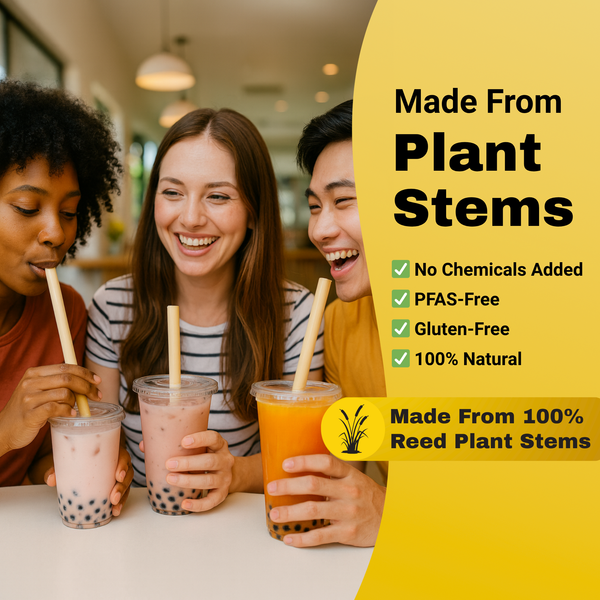 Bubble tea straw by HAY! Straws, Three people enjoying drinks with bamboo like straws, with a text overlay saying made from plant stems, no chemical or PFAS, gluten-free and made from 100% natural reed plant stems
