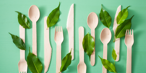 Bamboo vs. Wooden Cutlery