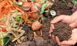 Hay straws blog post cover image Is composting good for the environment?