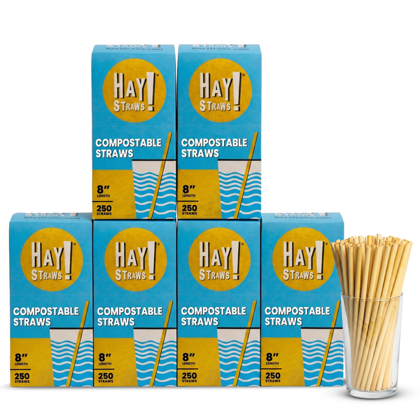 Six blue and yellow Hay! Straws compostable straws boxes arranged in two rows, with a clear glass cup filled with the light tan reed stem straws in front on a white background. Standard 8" straw sold in a wholesale case of 1500 straws