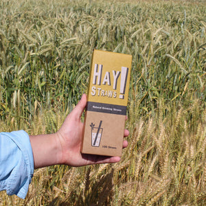 Hay! Straws 5 Natural Wheat Compostable Stir Stick - 3000/Case