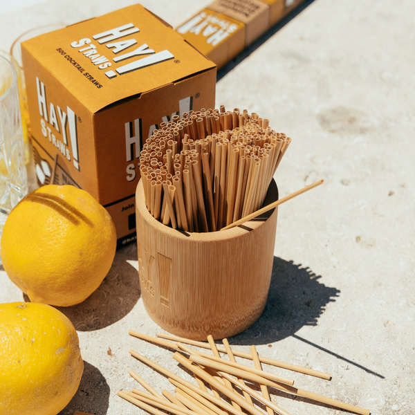 HAY! Straws natural wheat stem straws in a bamboo straw holder showing their golden, natural variation sitting next to lemons and a 500 pack of cocktail straws