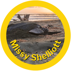 Missy Shelliott sea turtle adopted by HAY! Straws