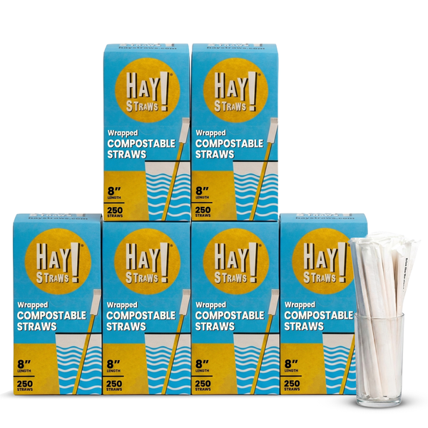 Six boxes of Hay! Straws wrapped compostable straws arranged in two rows, with a clear glass cup holding several white compostable straws on the right, on a white background. Standard 8" individually wrapped straws, wholesale quantity