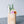 Garnished mug with Jumbo XL HAY! Straws. Jumbo XL straws are 100% biodegradable and compostable. With inner Diameter of 7.5-10mm, this strong Jumbo with extra width will last a large milkshake. Full Case available for wholesale businesses (1500 disposable straws). 